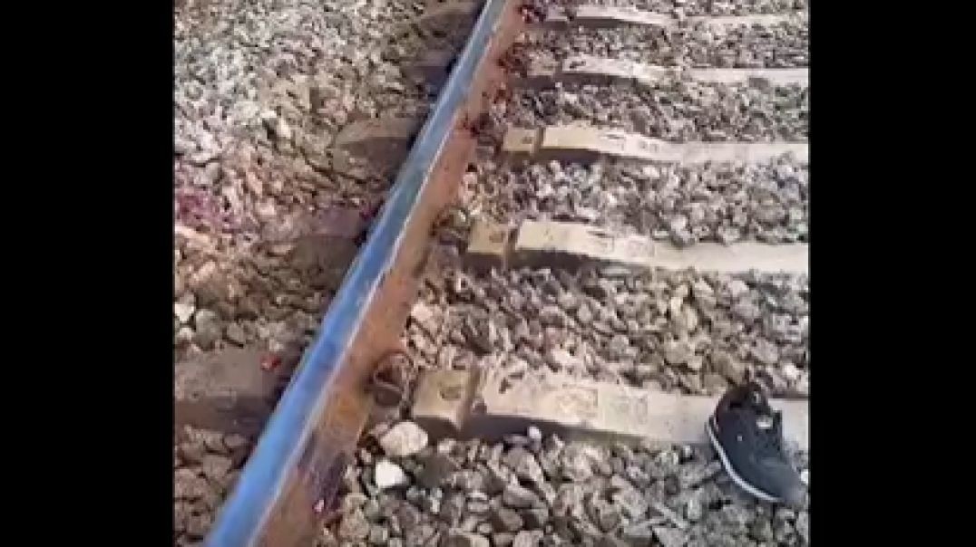 Trains killing idiots