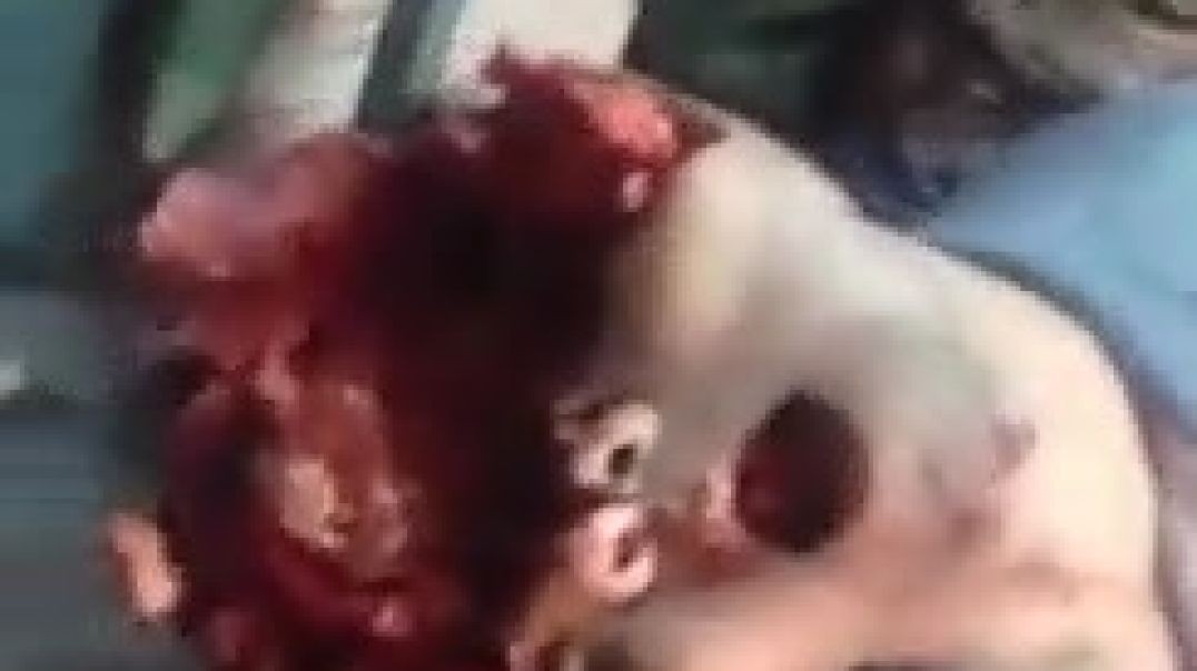 A guy commits suicide with a rifle